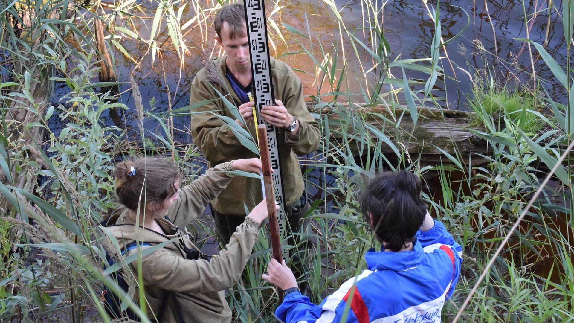 Международный день эколога 2020